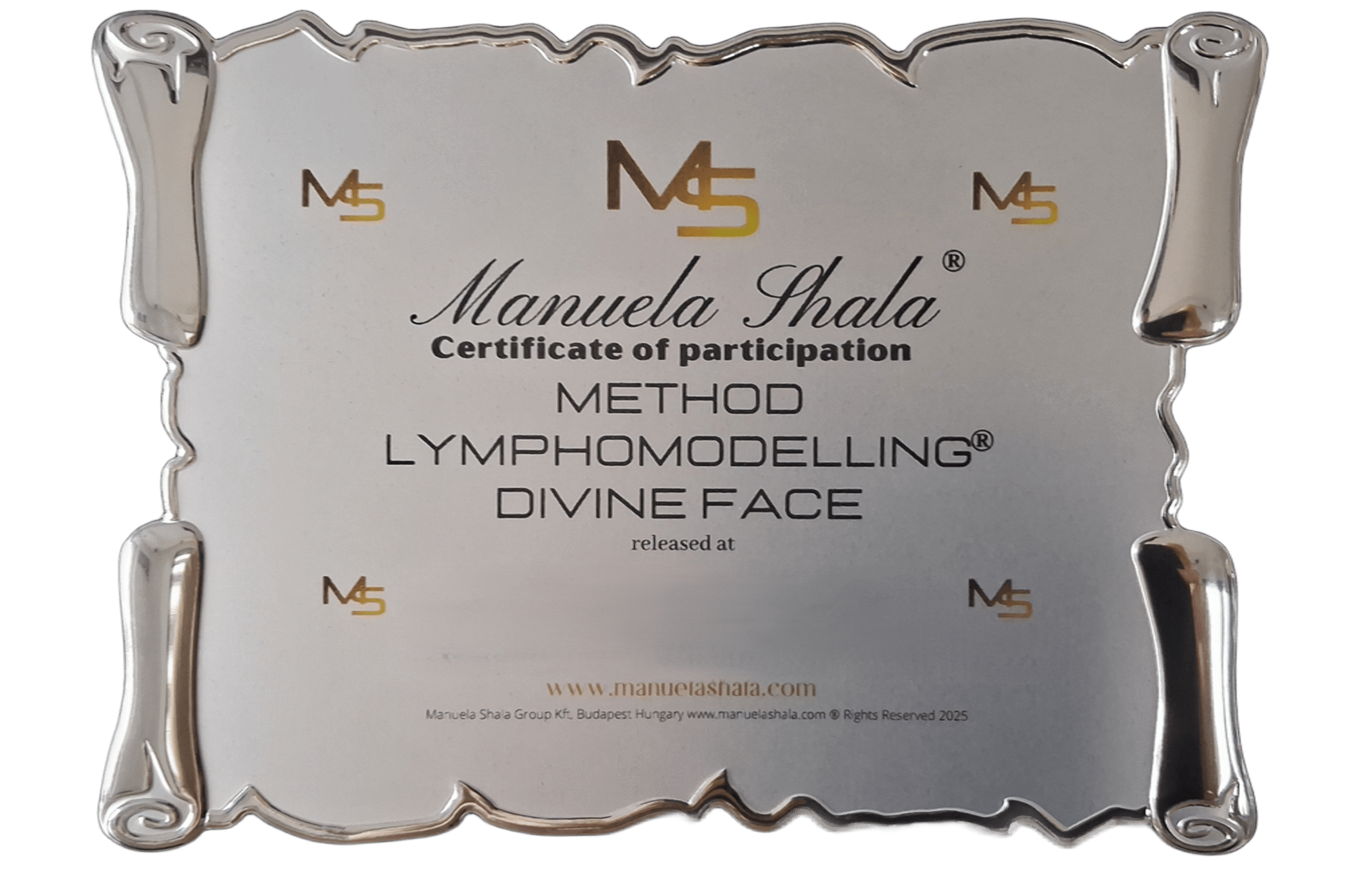 zdjęcie 10 transparent